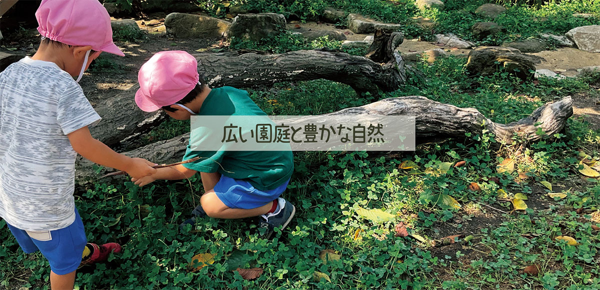 広い庭園と豊かな自然